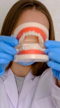 A dentist shows a model of a jaw. Selective focus.
