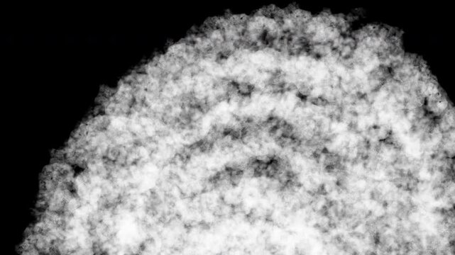 Brush Painting Transitions For Video Editing