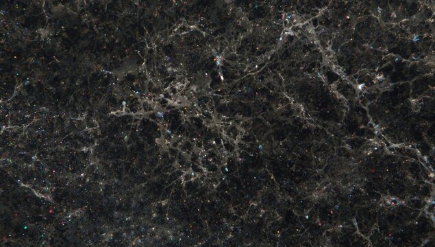 Fine astrocyte processes in white matter stained with silver chromate in cerebellar tissue