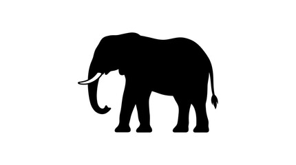 Fototapeta premium Silhouette of an African Elephant with Prominent Tusks.