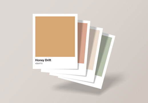 Color Swatch Polaroid Template for Brand Guide Mockups, Pantone Colour Palette Card Presentation