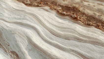 Obraz premium Detailed white wood texture resembling a liquid landscape with organic slope and soil hues