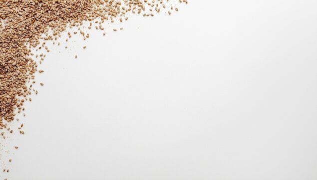 Creative layout with ajwain seeds on white backdrop featuring large text space