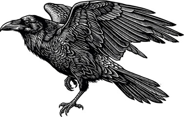 Obraz premium Detailed hand drawn engraving style vector illustration of a majestic black raven bird flying with open wings isolated on a solid white background