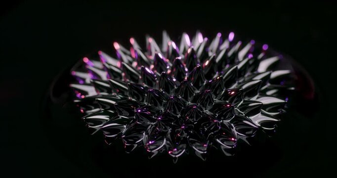 Captivating and mesmerizing ferrofluid shapes in a wide range of vibrant colors displayed against a stark black backdrop, making them perfect for motion graphics and various artistic effects