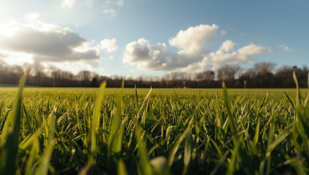 Ground level image of vivid green sports field grass in warm sunlight with bright clouds above