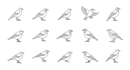 Fototapeta premium Line art bird collection various poses depicting flight and stillness
