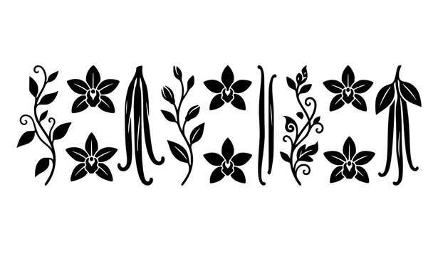 Elegant vanilla orchid flower and leaves seamless border pattern