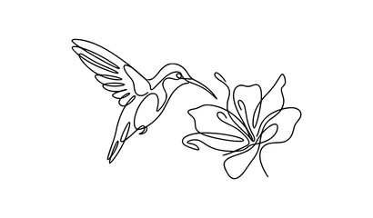 One line art of a beautiful hummingbird drinking nectar from a flower vector