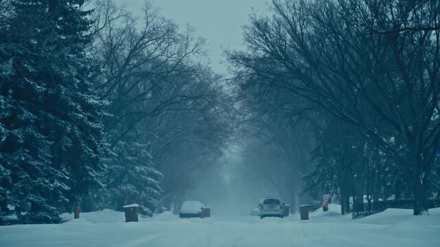 Residential street lined with bare trees under heavy snowfall and winter fog.