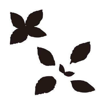 Scattered Monochrome Fresh Mint Leaves Botanical Design Elements