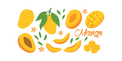 Large collection of tropical mangoes including whole, sliced, and diced fruits with flowers and text. Vector graphics for summer food design and packaging © Sunflower