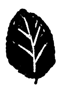 Monochrome Spearmint Leaf Design Element