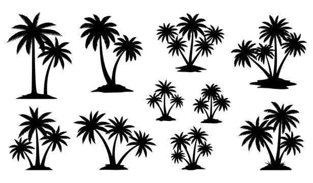 Dense tropical palm trees forest background pattern silhouette vector illustration for travel banner