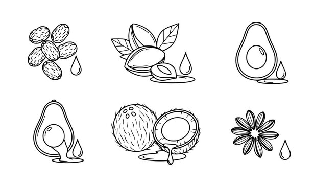 Healthy superfood icons collection featuring hand drawn avocado halves coconut shell and almonds sketches