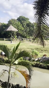 Morning with nature and giraffe at Mara River Safari Lodge Hotel in Indonesia Bali.  