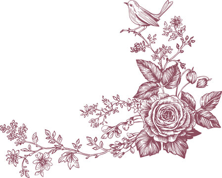Toile de Jouy is a sweet monochrome bouquet of lush garden flowers and berries in a traditional French style. This vintage-style line art illustration is perfect for wedding designs, birthday cards