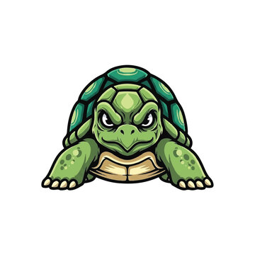 Cartoon angry turtle character face.