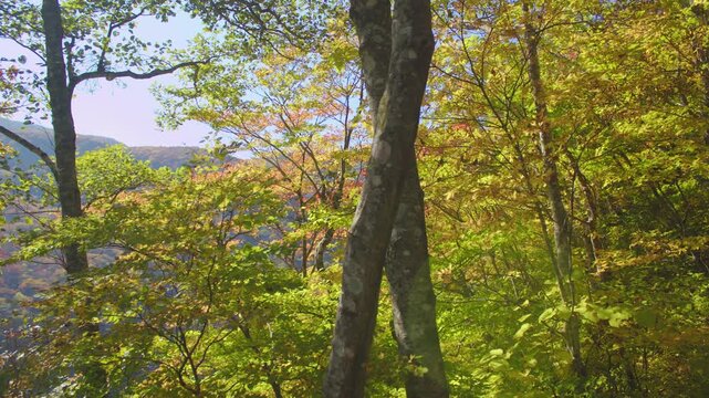 みやぎ蔵王三十六景 不動滝・不動尊展望台　Miyagi Zao Thirty-Six Views: Fudo Falls and Fudo-son Observation Deck