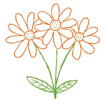 Line flower animation graphic