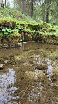 Stone pond with running water.