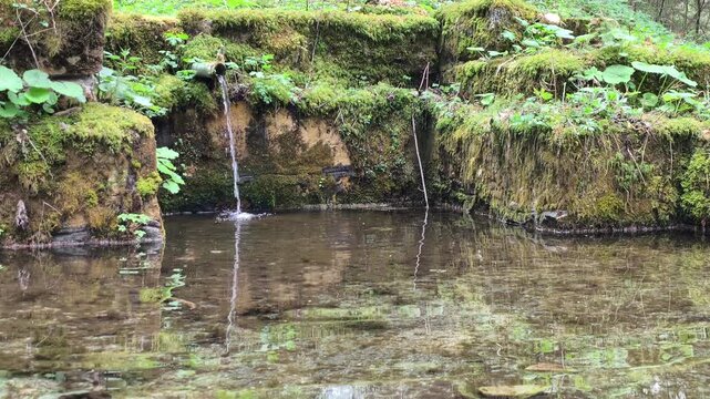 Stone pond with running water.