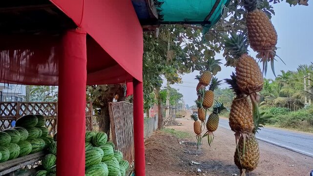 Closeup view of pineapples hanging outside fruit shop showing fresh tropical produce display