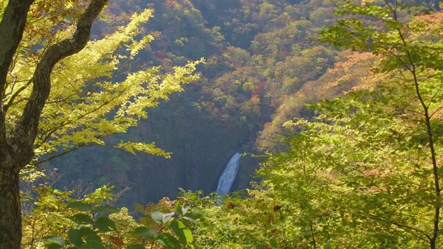 みやぎ蔵王三十六景 不動滝・不動尊展望台　Miyagi Zao Thirty-Six Views: Fudo Falls and Fudo-son Observation Deck