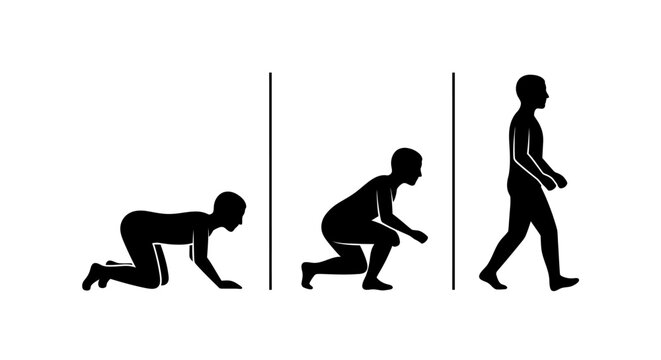 Silhouette of human evolution progress from crawling to walking.