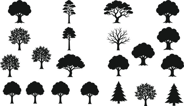 Tree vector silhouette set featuring deciduous oak maple bare branches pine fir forest plants and botanical nature icons