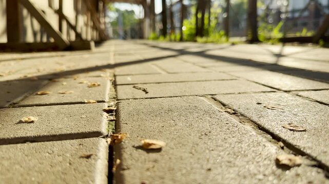 Concrete paving stones absorb the warmth of morning sun. Light wind rustles through nearby trees, scattering small seeds across the ground. A low, distant traffic rumble blends into a steady urban hum