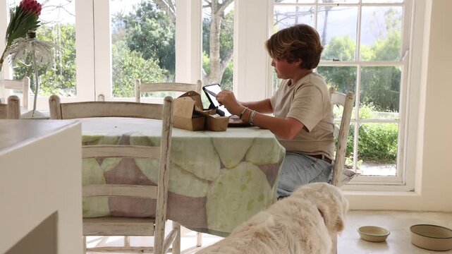 12 year old boy eating box lunch in kitchen using tablet computer