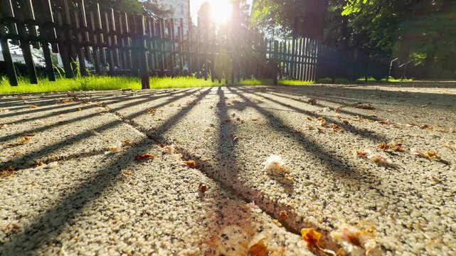 The rising sun bursts directly over a wooden fence, throwing long radial shadows onto a pebble walkway. Distant commuter vehicles begin to move, resulting in a steady, low rumble of city traffic.