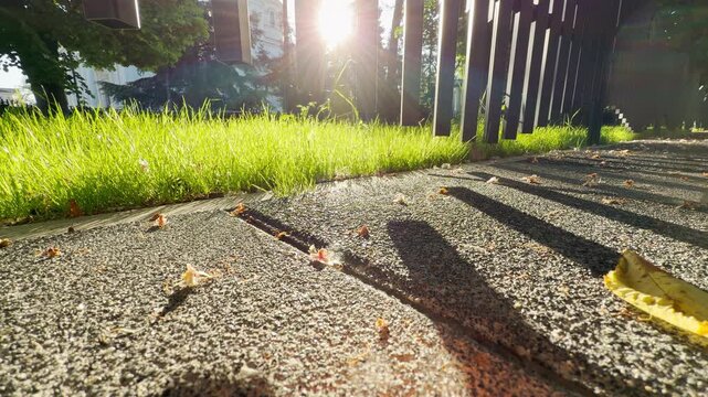 The rising sun flashes brightly through the slats of a modern fence onto an urban park path. Commuter vehicles begin driving on nearby streets, resulting in a low, steady rumble of background traffic.