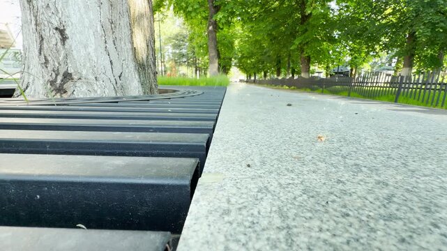 A modern black metal bench sits next to a polished granite walkway. Green trees line the path stretching into the distance. The bustling urban environment creates a faint hum of the morning city.