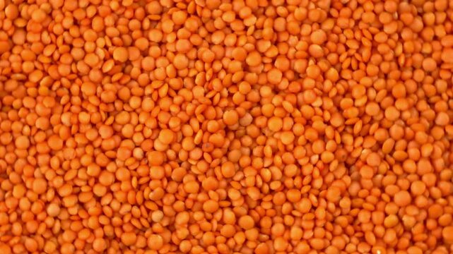 Top down macro texture of rotating raw red lentils forming a vibrant and natural pattern