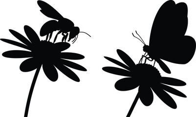 Black silhouettes of a honey bee and a butterfly sitting on blooming daisy flowers isolated on a white background. © Sumaiya