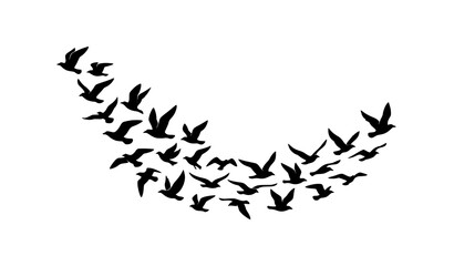 Obraz premium Minimal Black and White Bird Flock Silhouette Vector for Decorative Wall Artwork