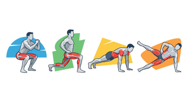 Vector Icons Fitness illustration set showing man performing bodyweight exercises with highlighted muscle groups. EPS Editable