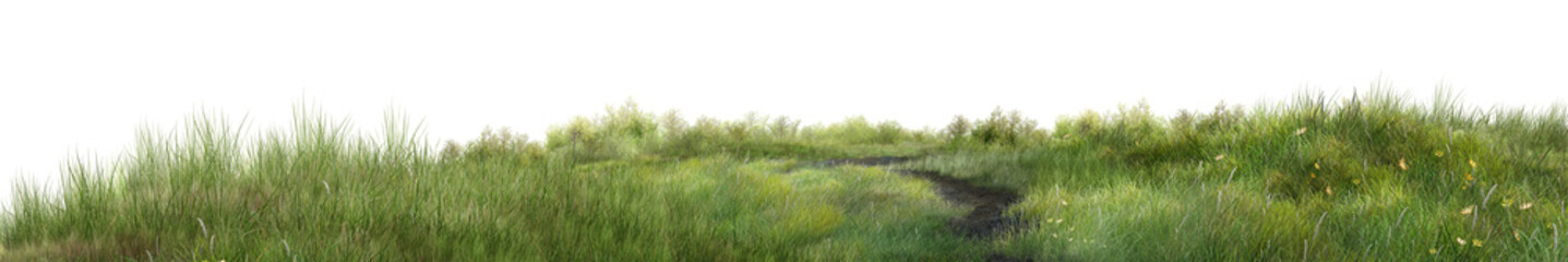 green grass on a white background/High resolution panoramic grassland landscape with a natural pathway, lush green meadow, and serene countryside atmosphere © Saharattaphum