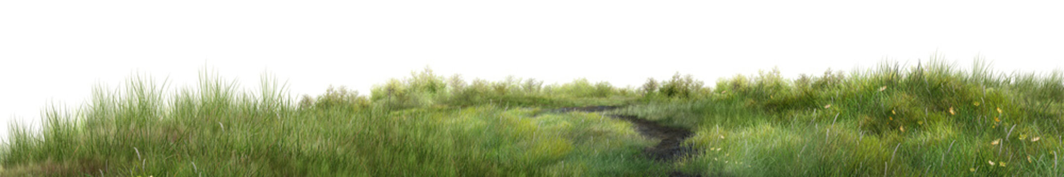 green grass on a white background/High resolution panoramic grassland landscape with a natural pathway, lush green meadow, and serene countryside atmosphere