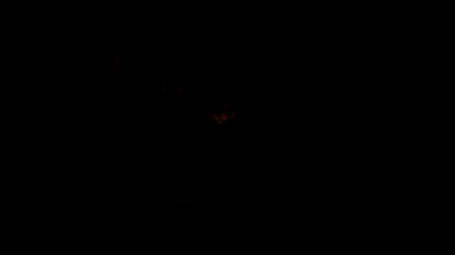 Isolated fire burning brightly against a solid black background for compositing.