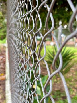 Reja de metal en el capo con naturaleza