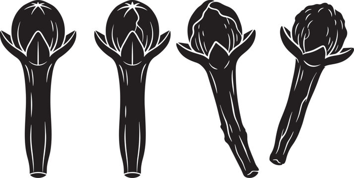Set of four clove spice buds silhouette isolated on white background with silhouette culinary aromatic ingredient