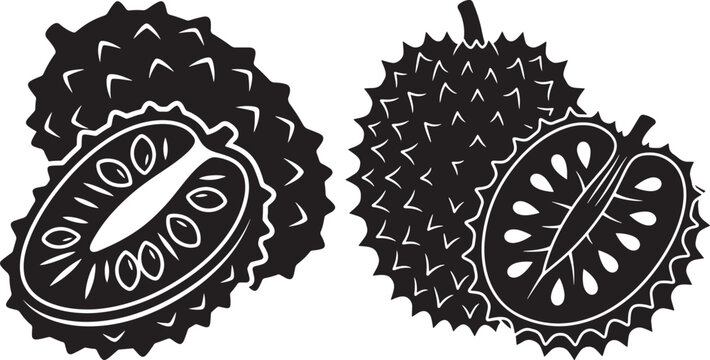 Fresh soursop fruit and halved sections vector illustration with guanabana tropical silhouette botanical nutrition
