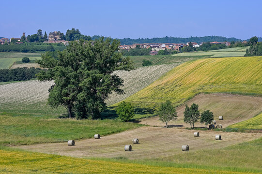 Sul sentiero di Aleramo (Montiglio Monferrato)