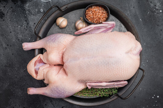 Raw whole duck with thyme garlic and pink salt on round pan over dark stone background perfect for gourmet poultry and cooking stock images.