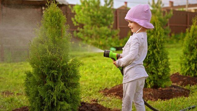 Happy little girl helping in the garden by watering a small thuja tree with a spray hose. Cheerful childhood moments involving lawn care, gardening, and family assistance in the backyard