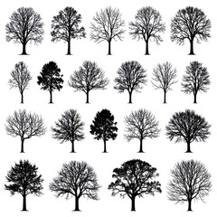 Obraz premium A collection of 15 black tree silhouettes on a white background