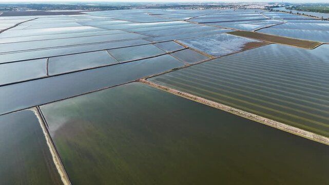 Aerial view of flooded rice paddy fields in Andalusia, Spain